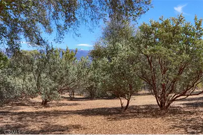 1956 Wild Horse, Mariposa, CA 95338 - Photo 61