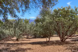 1956 Wild Horse, Mariposa, CA 95338 - Photo 61