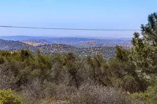1956 Wild Horse, Mariposa, CA 95338 - Photo 49