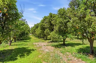 11550 Old Castle, Valley Center, CA 92082 - Photo 53
