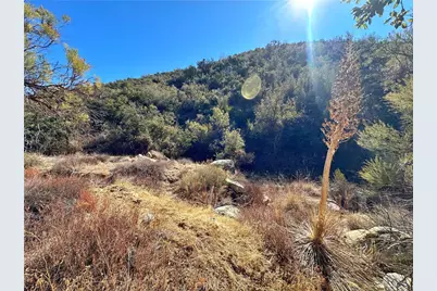 28618 Chihuahua Valley Road, Warner Springs, CA 92086 - Photo 13