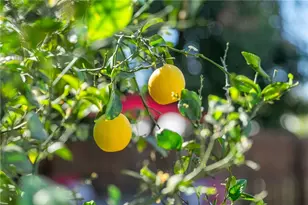 18018 E Armstead, Azusa, CA 91702 - Photo 23