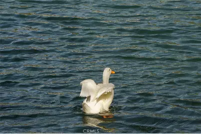 35109 Highway 79 #254, Warner Springs, CA 92086 - Photo 35