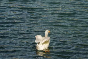 35109 Hwy 79, Warner Springs, CA 92086 - Photo 35