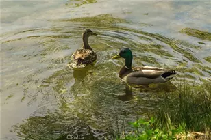 35109 Hwy 79, Warner Springs, CA 92086 - Photo 39