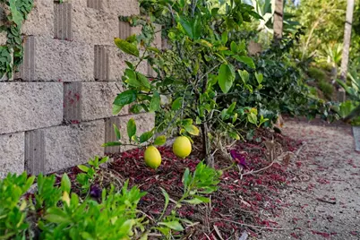 971 San Lorenzo Court, Solana Beach, CA 92075 - Photo 55
