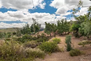 2302 Via Dieguenos, Alpine, CA 91901 - Photo 45