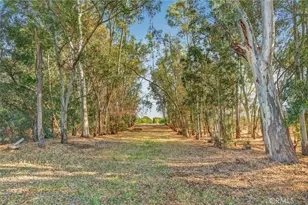 5325 N Greenwood Dr, Clovis, CA 93619 - Photo 41