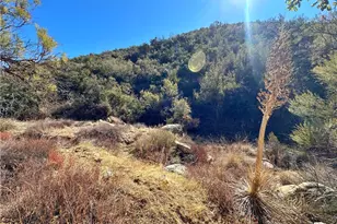 28618 Chihuahua Valley Rd, Warner Springs, CA 92086 - Photo 13
