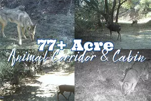 28618 Chihuahua Valley Rd, Warner Springs, CA 92086 - Photo 3
