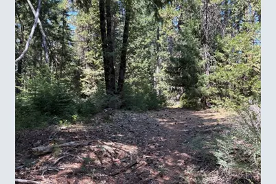 9936 Fobes, Morongo Valley, CA 92256 - Photo 3