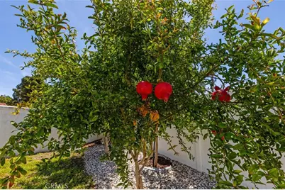 4294 Via Clemente, Oceanside, CA 92057 - Photo 41