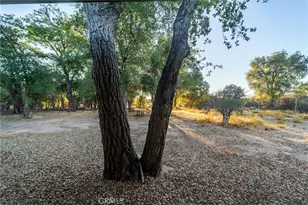30621 Chihuahua Valley, Warner Springs, CA 92086 - Photo 51