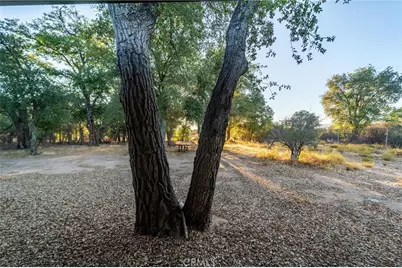 30621 Chihuahua Valley, Warner Springs, CA 92086 - Photo 49