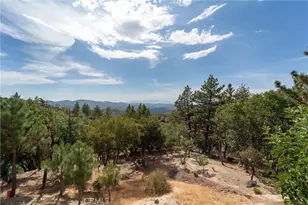 161 N Trails End, Green Valley Lake, CA 92314 - Photo 57