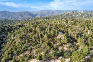 161 N Trails End, Green Valley Lake, CA 92314 - Photo 69