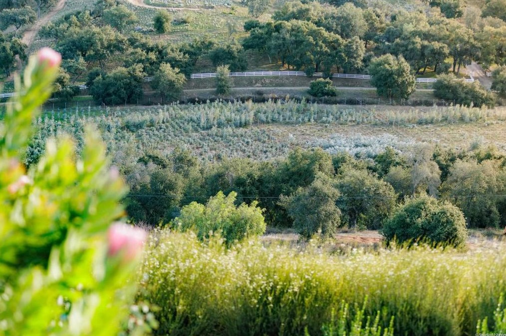 17550 Bear Valley Ln, Escondido CA  92027-6014 exterior