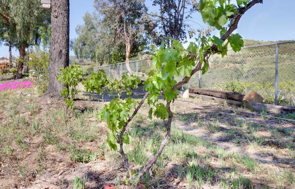 40337 Gavilan Mountain Rd, Fallbrook CA 92028-8965 exterior