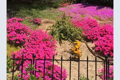 14106 Summit Crest, Escondido, CA 92025 - Photo 71