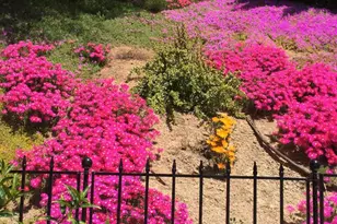 14106 Summit Crest, Escondido, CA 92025 - Photo 71