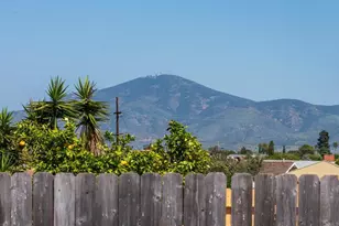 7358 Gribble St, San Diego, CA 92114 - Photo 33