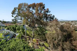 7358 Gribble St, San Diego, CA 92114 - Photo 39