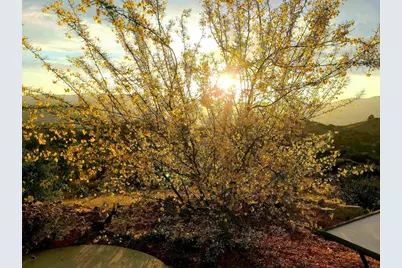 2620 Mar Vinga, Fallbrook, CA 92028 - Photo 39