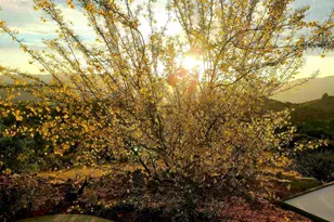 2620 Mar Vinga, Fallbrook, CA 92028 - Photo 39