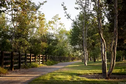 16401 Calle Feliz, Rancho Santa Fe, CA 92067 - Photo 27