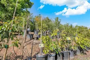 2081 Elevado Rd, Vista, CA 92084 - Photo 45