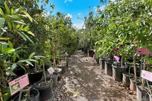 2081 Elevado Rd, Vista, CA 92084 - Photo 53