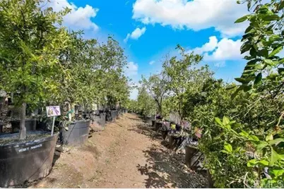 2081 Elevado Road, Vista, CA 92084 - Photo 59