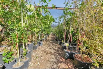 2081 Elevado Road, Vista, CA 92084 - Photo 47