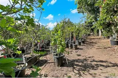 2081 Elevado Road, Vista, CA 92084 - Photo 55