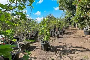 2081 Elevado Rd, Vista, CA 92084 - Photo 55