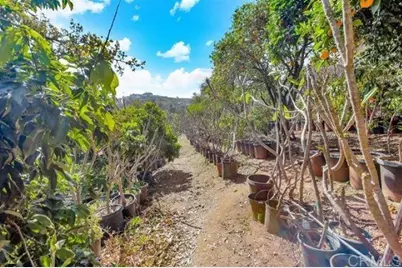 2081 Elevado Road, Vista, CA 92084 - Photo 61