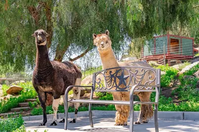 1023 Olive Avenue, Ramona, CA 92065 - Photo 35