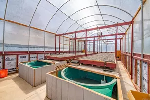 1023 Olive Ave, Ramona, CA 92065 - Photo 31