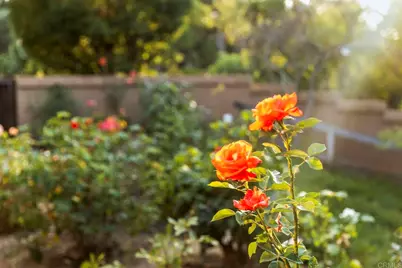 30663 Via Maria Elena, Bonsall, CA 92003 - Photo 57