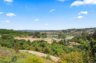 30002 Via Maria Elena, Bonsall, CA 92003 - Photo 49