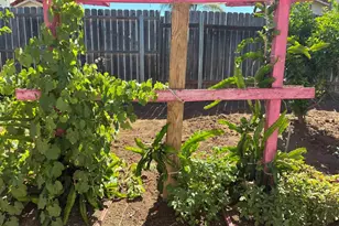 2250 N Broadway, Escondido, CA 92026 - Photo 35