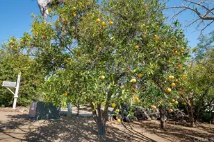1139 Big Oak Ranch Rd, Fallbrook, CA 92028 - Photo 61