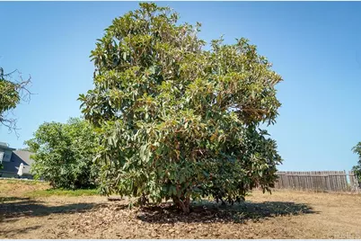 1139 Big Oak Ranch Rd., Fallbrook, CA 92028 - Photo 59