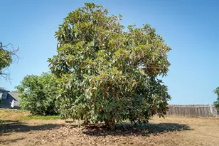 1139 Big Oak Ranch Rd, Fallbrook, CA 92028 - Photo 59