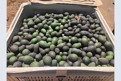 3137 E Valley Parkway, Escondido, CA 92027 - Photo 71