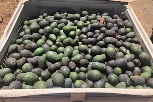 3137 E Valley Pkwy, Escondido, CA 92027 - Photo 71