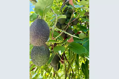 3160 Slivkoff Drive, Escondido, CA 92027 - Photo 9