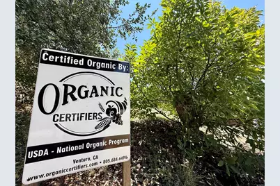 3160 Slivkoff Drive, Escondido, CA 92027 - Photo 7