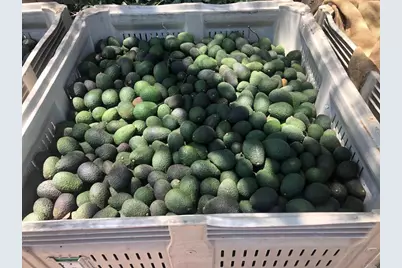 3160 Slivkoff Drive, Escondido, CA 92027 - Photo 11