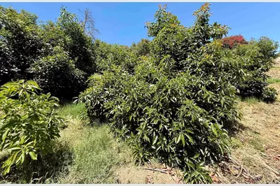 39182 Daily Road, Fallbrook, CA 92028 - Photo 39